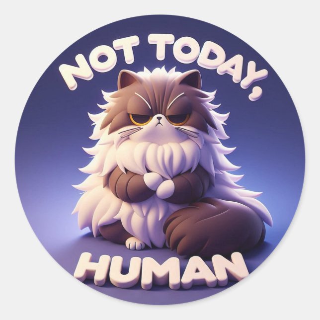 Grumpy Cat "Not Today, Human Craft Sticker" Runder Aufkleber (Vorderseite)