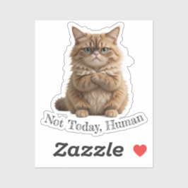 Grumpy Cat "Not Today, human" Funny Pet Meme Aufkleber