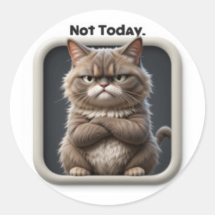 Grumpy Cat "Not Today" Kunsthandwerkaufkleber - Lu Runder Aufkleber