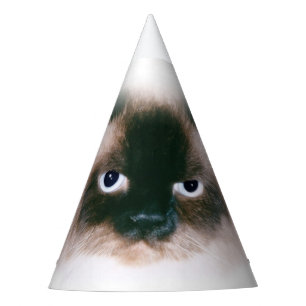 Grumpy Cat Partyhütchen