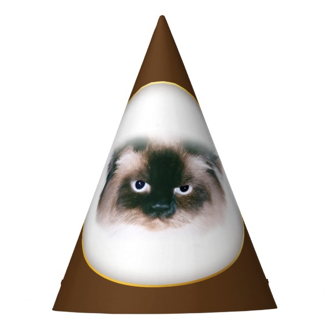 Grumpy Cat Partyhütchen (Vorderseite)