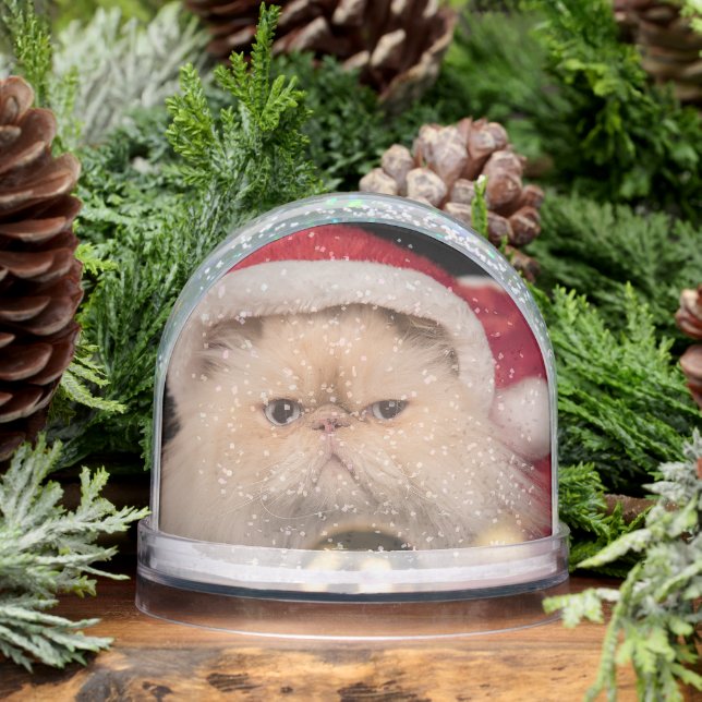 Grumpy Cat Santa Merry Christmas Schneekugeln (Winter)