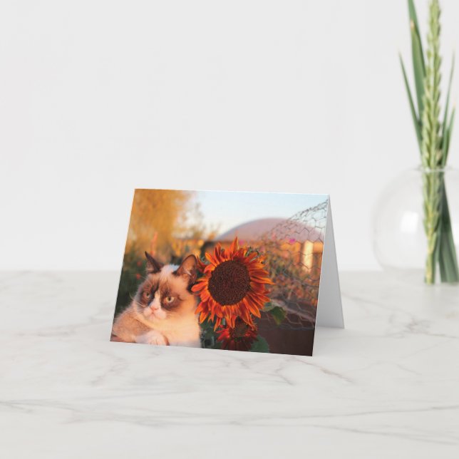 Grumpy Cat Sonnenblumen Mitteilungskarten (Vorderseite)