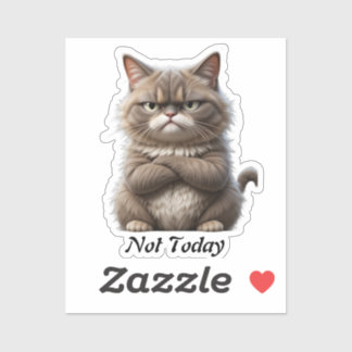Grumpy Cat Vinyl Sticker - "Not Today" Mood Decal