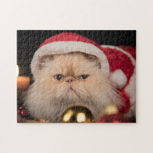 Grumpy Cat Weihnachtsmann