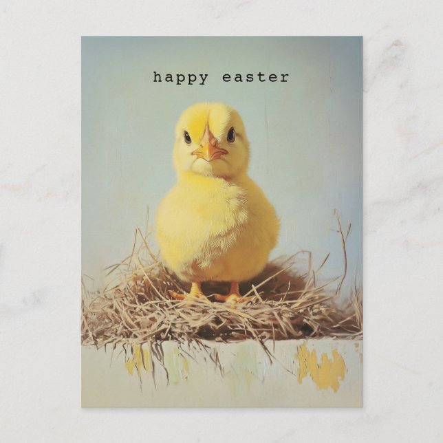 Grumpy Chick in Nest Postkarte (Vorderseite)
