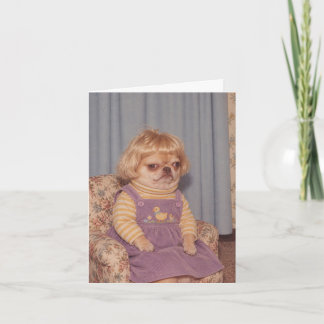Grumpy Chihuahuas Retro Picture Day Portrait Karte