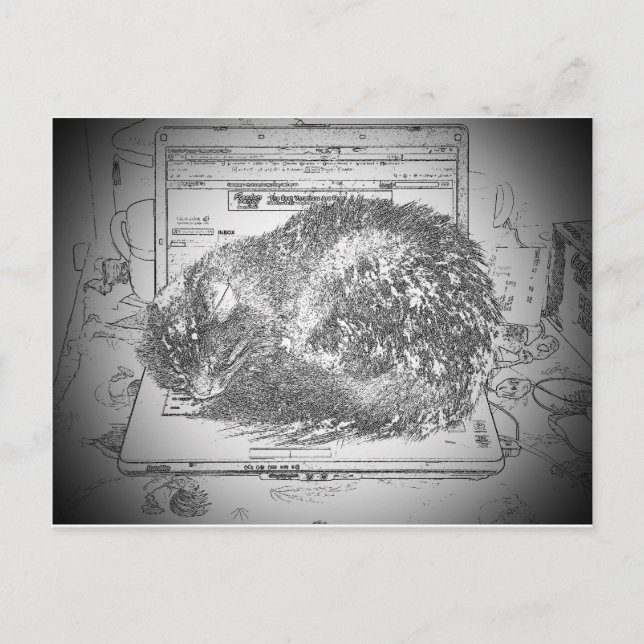 Grumpy Engel auf einer Laptop Lap Katze? Postkarte (Vorderseite)