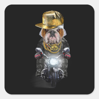 Grumpy English Bulldog mit Hip Hop Cap Riding Quadratischer Aufkleber