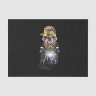 Grumpy English Bulldog mit Hip Hop Cap Rip Seidenpapier