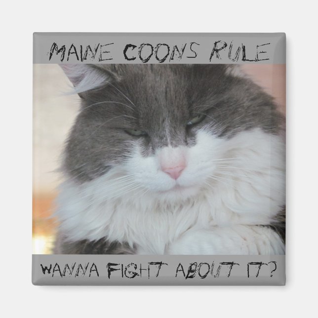 Grumpy Maine Coon Cat Magnet (Vorne)