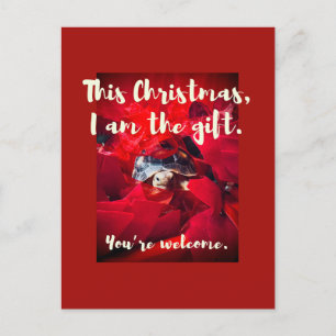 Grumpy Niedlich Baby Sulcata Tortoise Weihnachtsge Postkarte