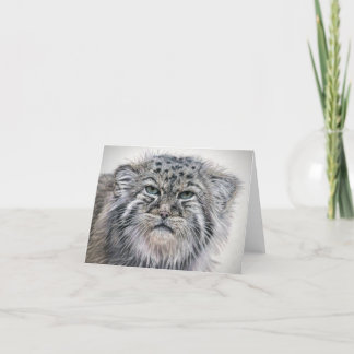 Grumpy Pallas Cat notecard Dankeskarte