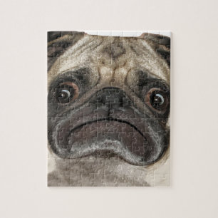 Grumpy Puggy Geschenke
