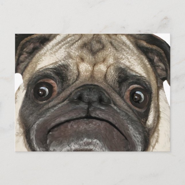 Grumpy Puggy Geschenke Postkarte (Vorderseite)