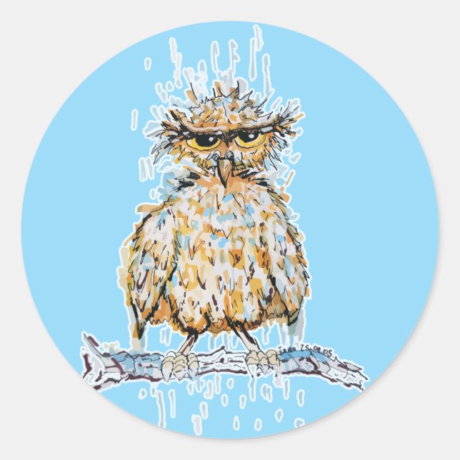 Grumpy Wet Owl Runder Aufkleber (Vorderseite)