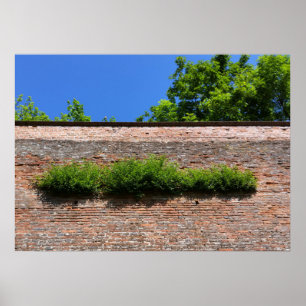 grün an der alten Festungsmauer Poster