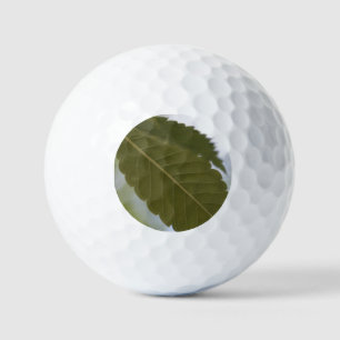 Grün-Blatt Garten-Fotokultur Golfball