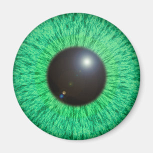 Grün-blaues Auge mit Aufflackern-Magneten Magnet