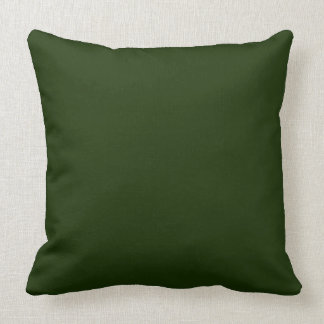 GRÜN DES CHIC-PILLOW_DARK/HELLGRÜNER KÖRPER KISSEN