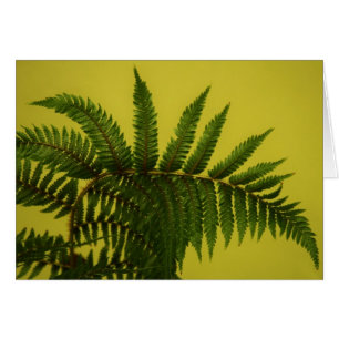 "Grün" durch Larry Coressel