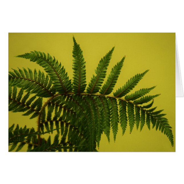 "Grün" durch Larry Coressel (Vorderseite (Horizontal))