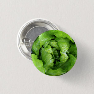 Grün, frisch, Nass Kopf der Leaf Lettuce von oben Button