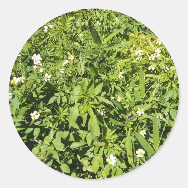 Grün mit Blume Runder Aufkleber (Vorderseite)