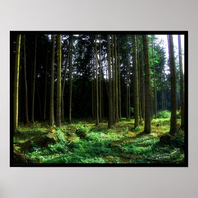 Grün Poster (Vorne)