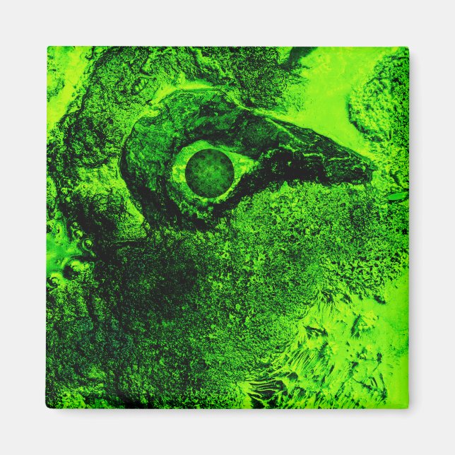 Grün suchen magnet (Vorne)