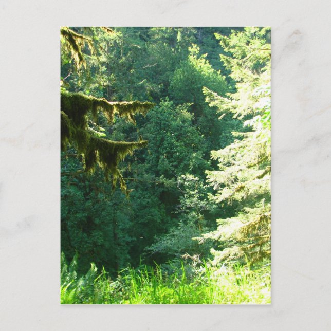 Grün und Grün Postkarte (Vorderseite)