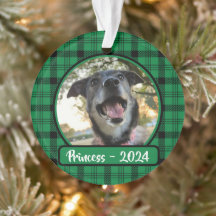 Grün und Schwarz Karierter Hund Foto Weihnachten