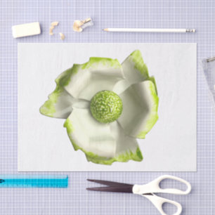 Grün Weiße Blume - Große Florale Sommerhochzeit Lg Seidenpapier