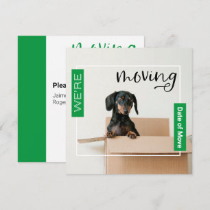 Grün Wir bewegen Dackel Hund in Box Card Dankeskarte