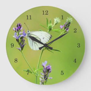 Grünader-Weißling Große Wanduhr