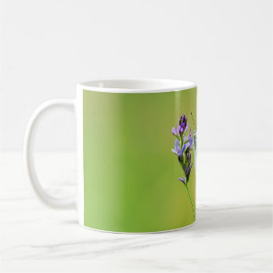 Grünader-Weißling Kaffeetasse