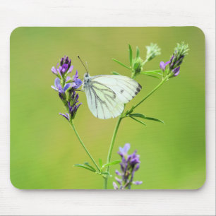 Grünader-Weißling Mousepad
