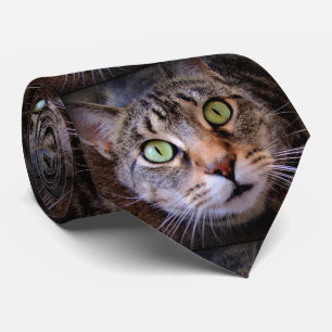 Grünäugige getigerte Katze Herren Krawatte