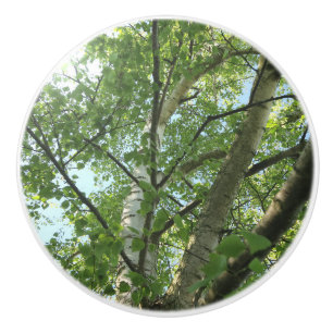 Grünbirne auf Baum gegen blauen Himmel Keramikknauf