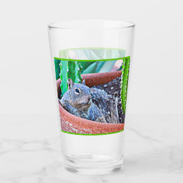 Grundeichhörnchen-Glasgetränk-Trommel Glas