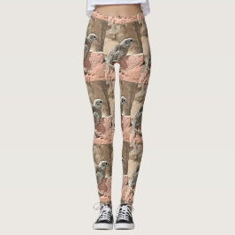Grundeichhörnchen in den Gamaschen der Leggings