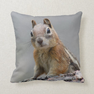 Grundeichhörnchen Kissen