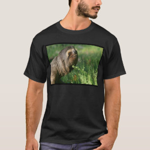 Grundlegende dunkle T - Shirt-Schablone - T-Shirt