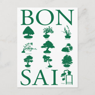 Grundlegende Stile von Bonsai Tree Postkarte