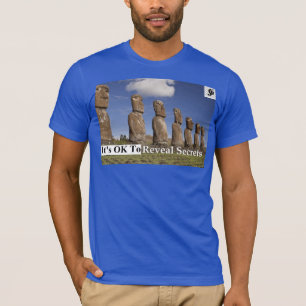 Grundlegender amerikanischer KleiderT - Shirt