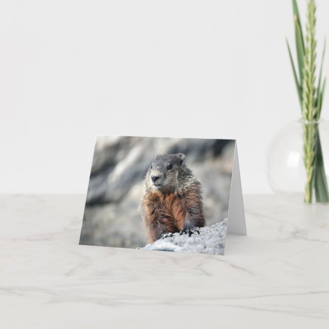 Grundschwein Karte (Vorderseite)