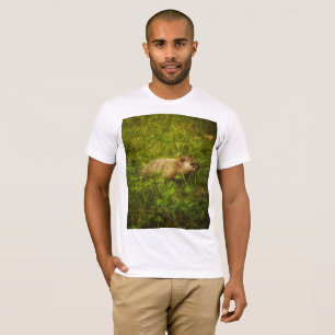 Grundstück in einem T - Shirt