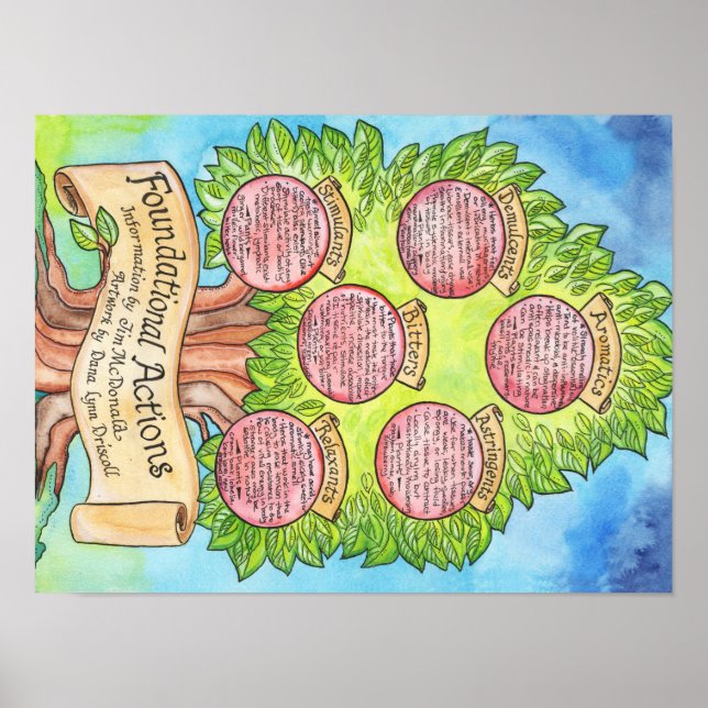 Gründungsmaßnahmen - Western Herbalism Poster (Vorne)