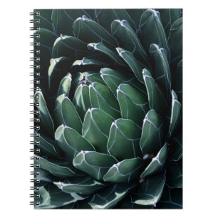 Grüne Agave Notizblock