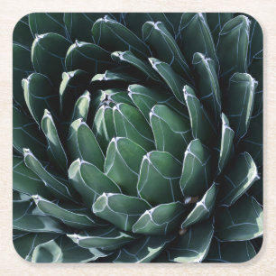 Grüne Agave Rechteckiger Pappuntersetzer